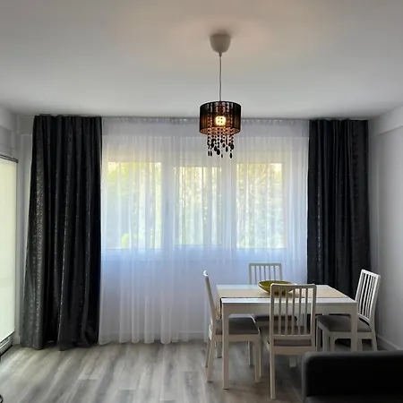 Lapus Apartment Craiova